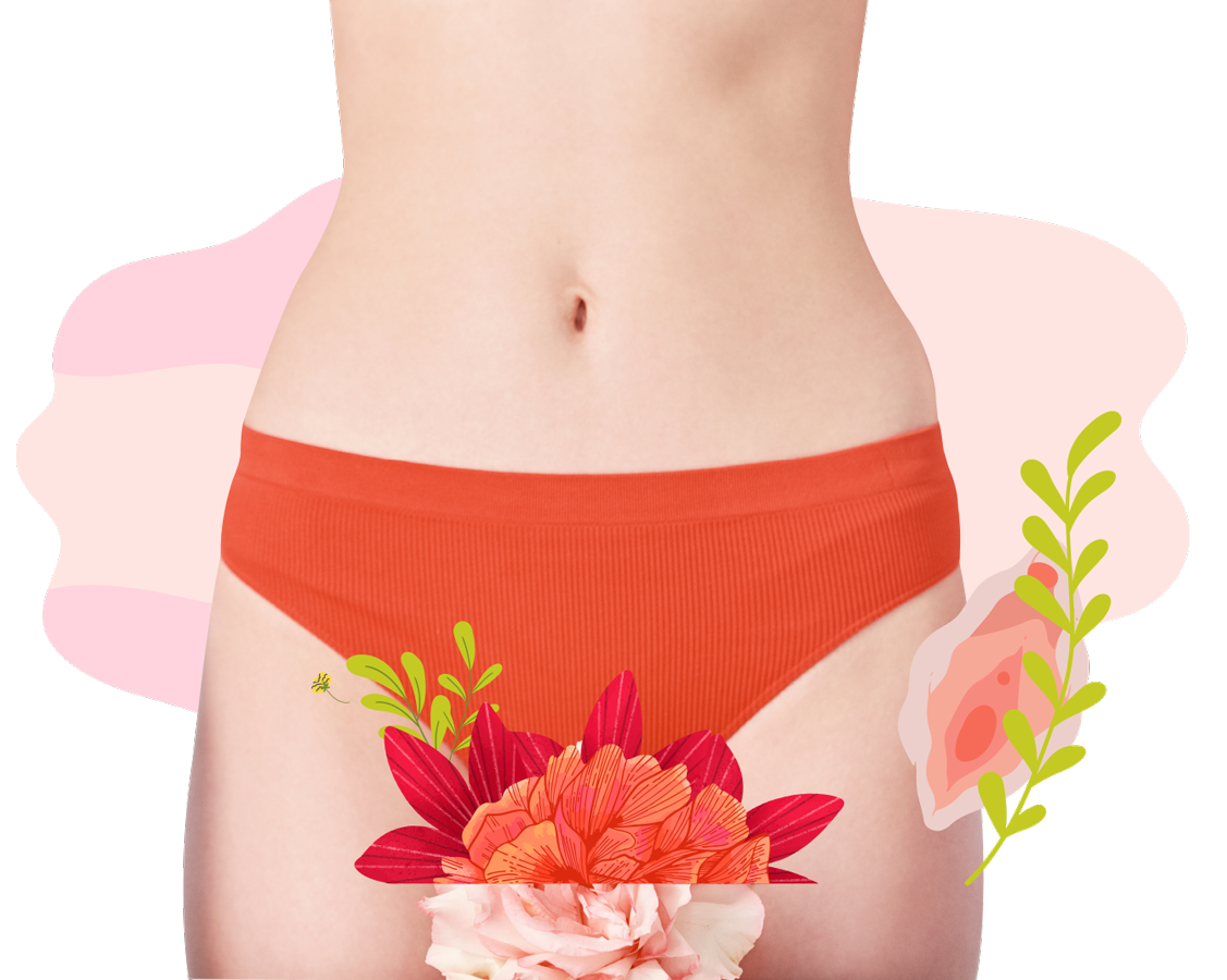 cuerpo