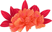 florcita3