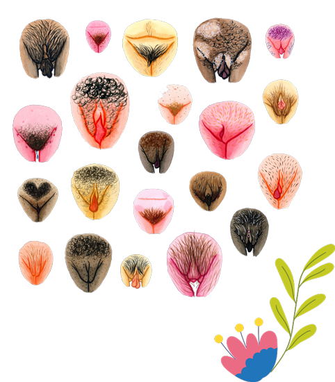 vul1