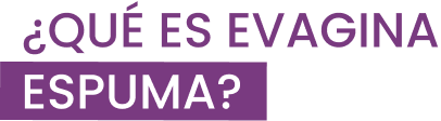 Evagina_title_espuma