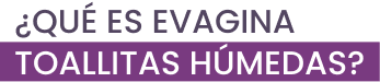 Evagina_title_toallitas_humedas