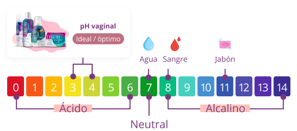 ph vaginal con evagina